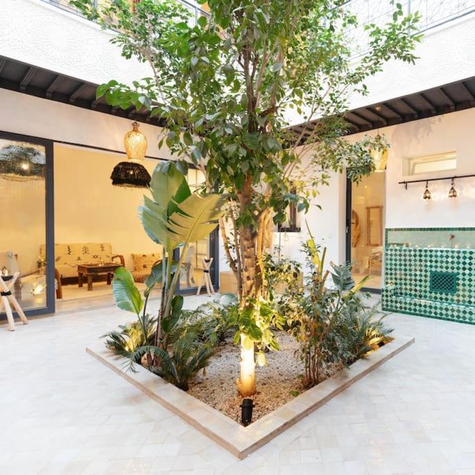 Vakantiehuis Wadiya, Privatif, Piscine En Rooftop.