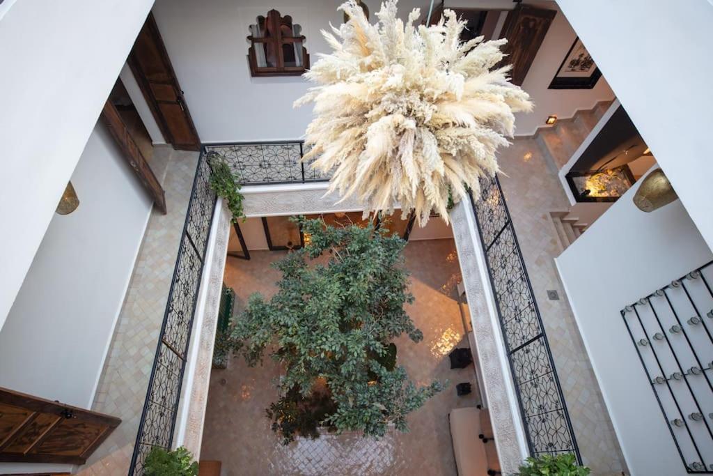Wadiya, Privatif, Piscine En Rooftop. Vakantiehuis